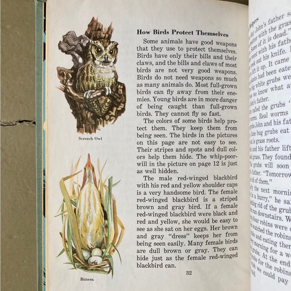 1958 Birds Cardinal Illustrated Picture Book Animal Bird Spring Toucan Animals - Picture 4 of 13